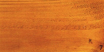 แชลค แกลลอน