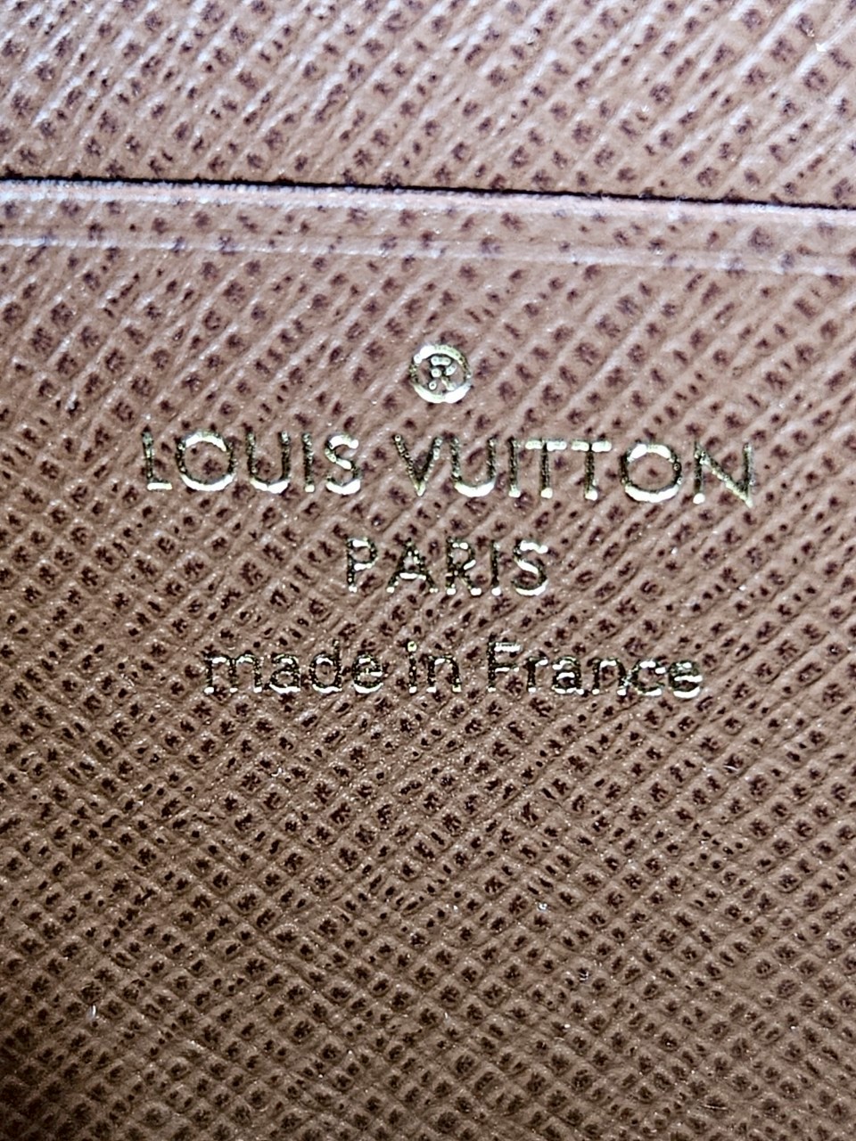 LV Woc Ivy Monogram Microchip