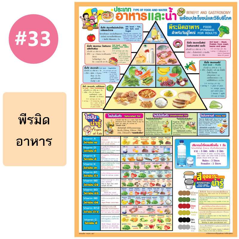 โปสเตอร์เพื่อการศึกษา ขายส่ง nongnini1988