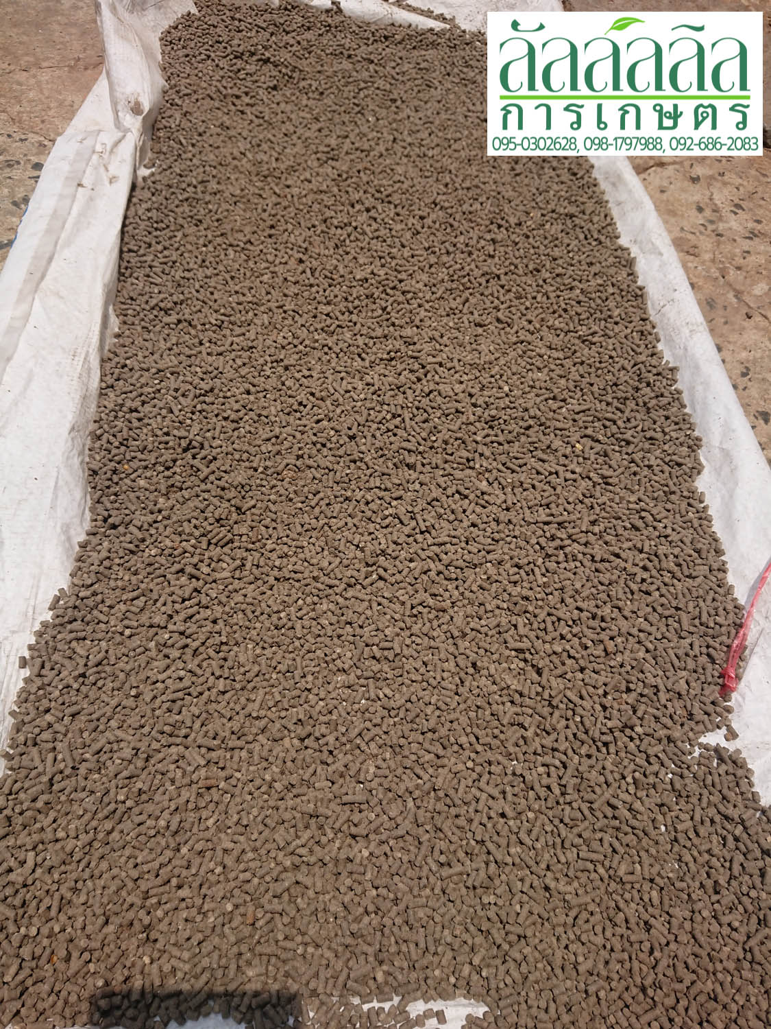 เครื่องอัดเม็ด รุ่น V.3