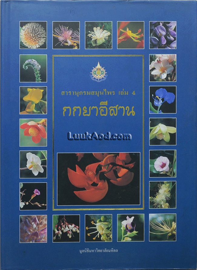 สารานุกรมสมุนไพร เล่ม 4 กกยาอีสาน