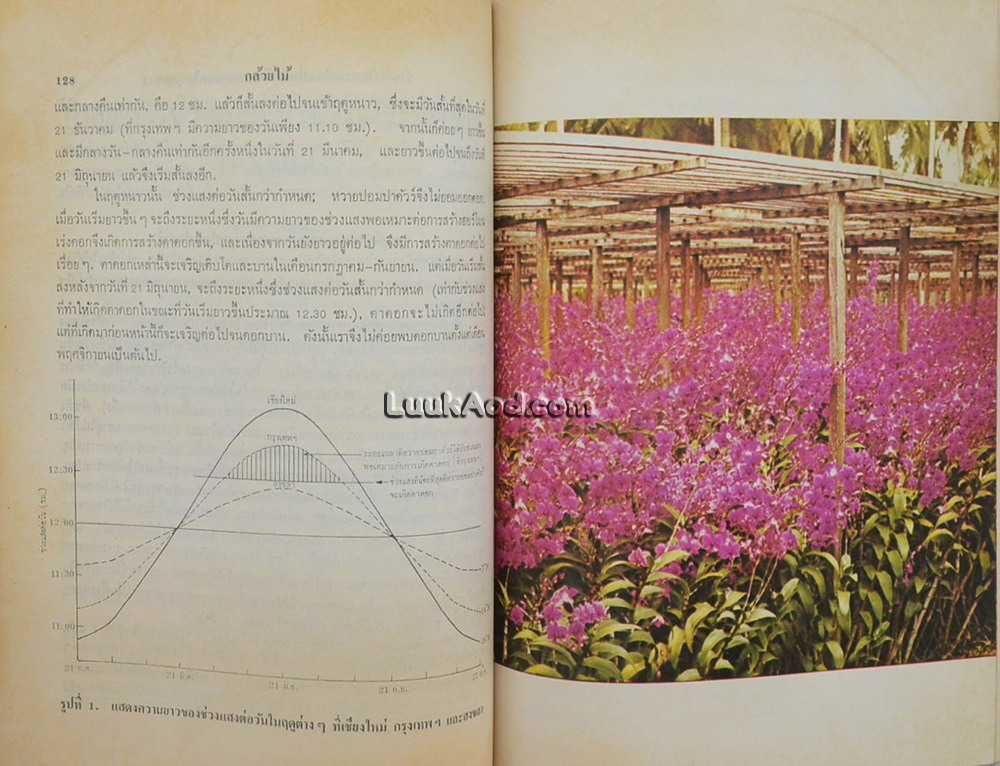 ที่ระลึกงานพระราชทานเพลิงศพ พระอชิโต ภิกขุ (พ.ต. หลวงไพรีพ่ายฤทธิ์)