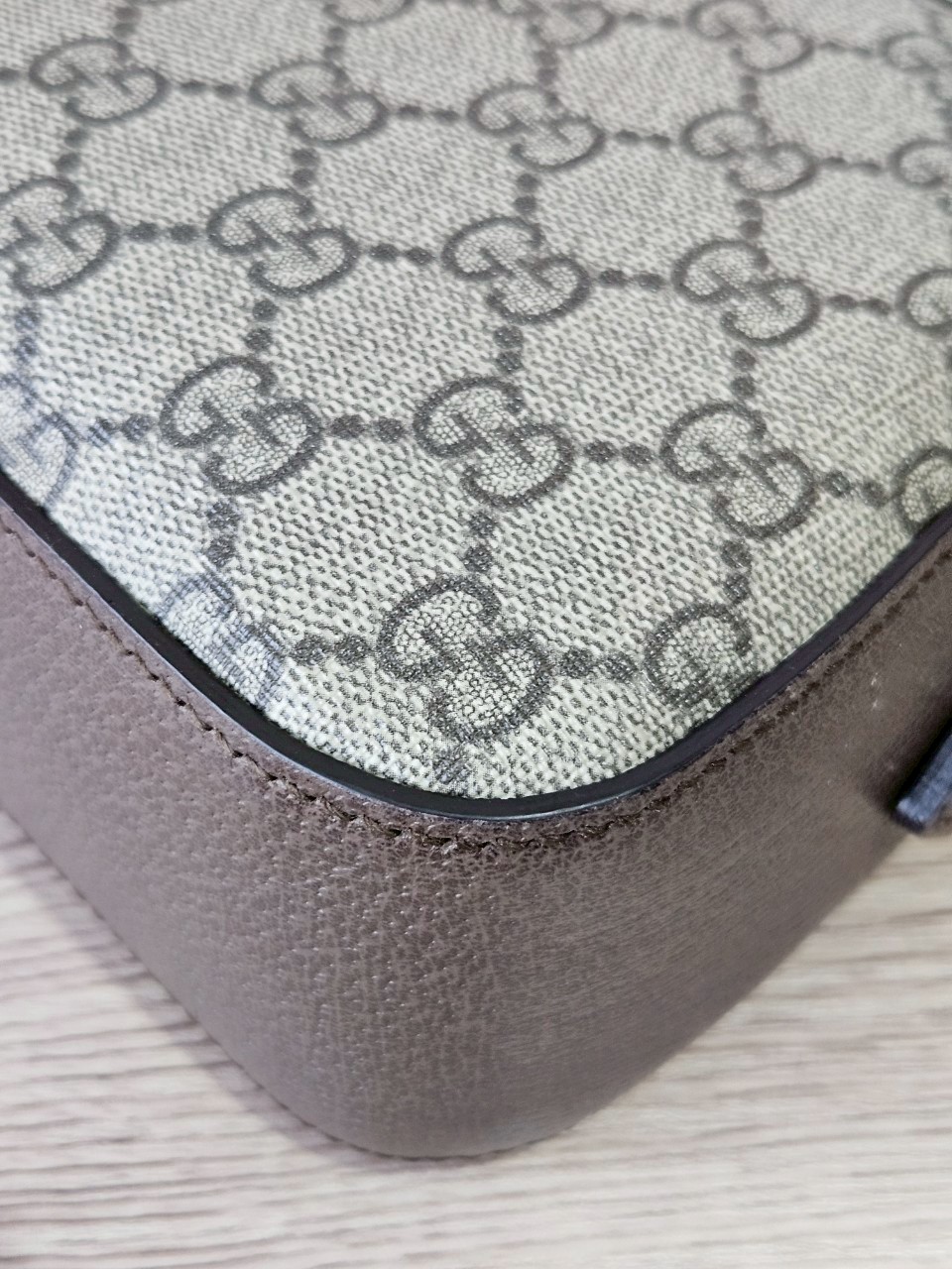 Gucci Neo Vintage Camera