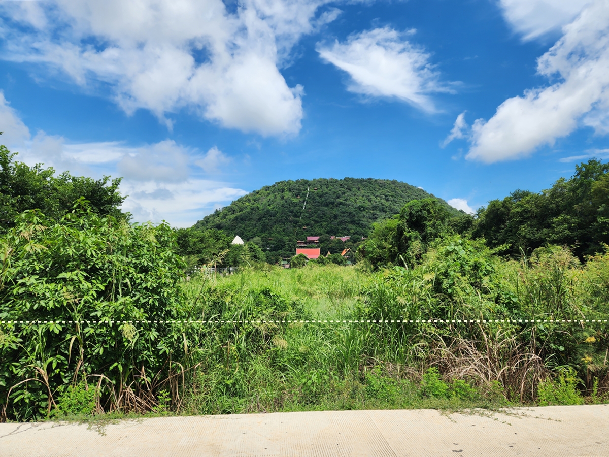 ขาย ที่ดิน 3-1-30 ไร่ ติดแม่น้ำเจ้าพระยา วิวภูเขา อ.เมืองชัยนาท จ.ชัยนาท