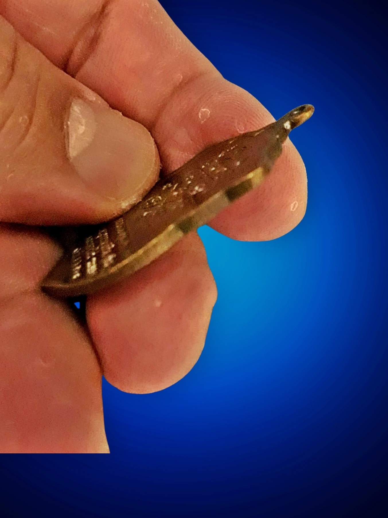 เหรียญเสมา 8 รอบ เนื้อทองแดงรมดำ หลวงปู่ทิม วัดระหารไร่ ตอกโค้ด อุ