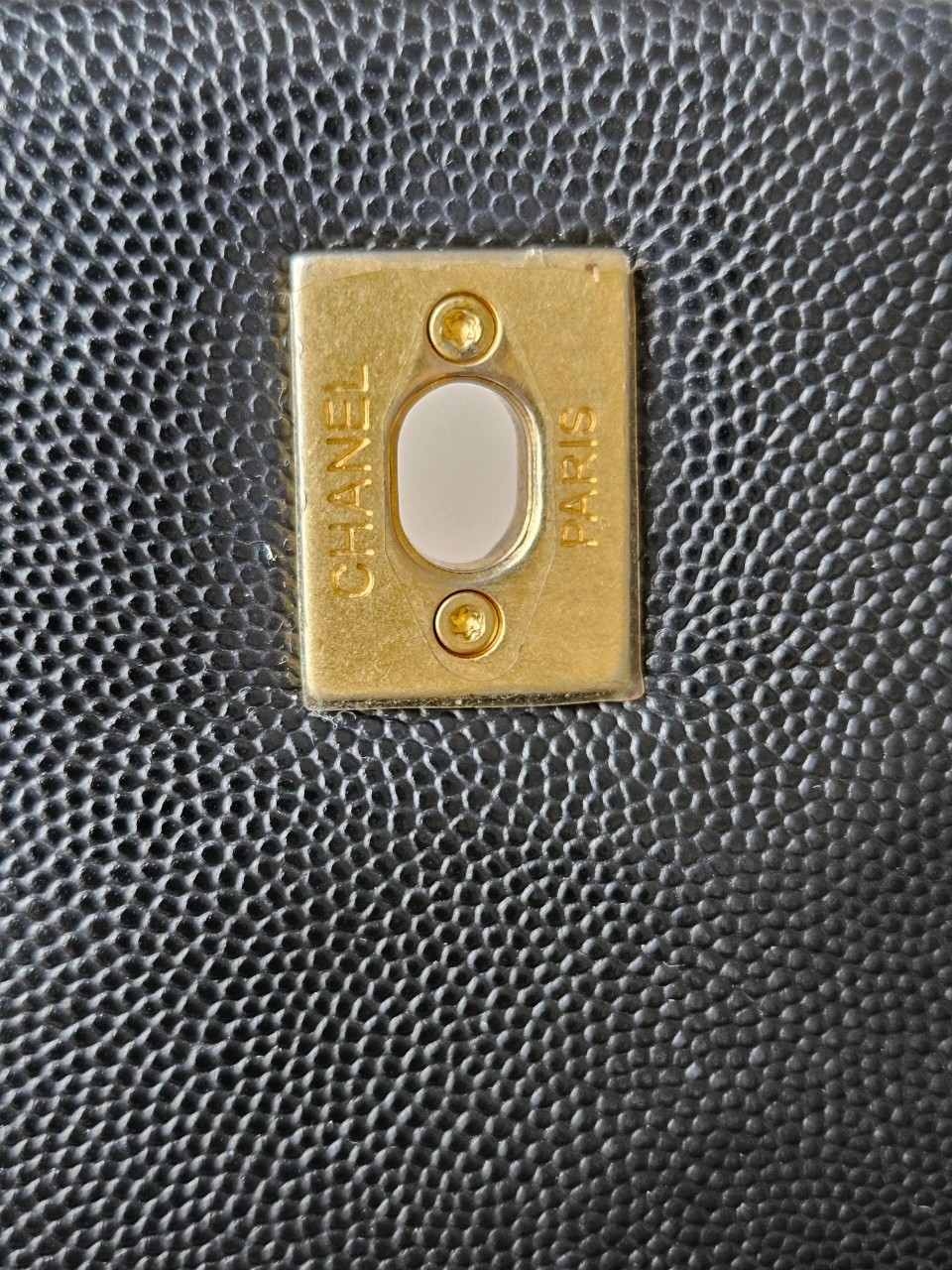 Chanel Coco 10.5 Caviar Lizard holo26