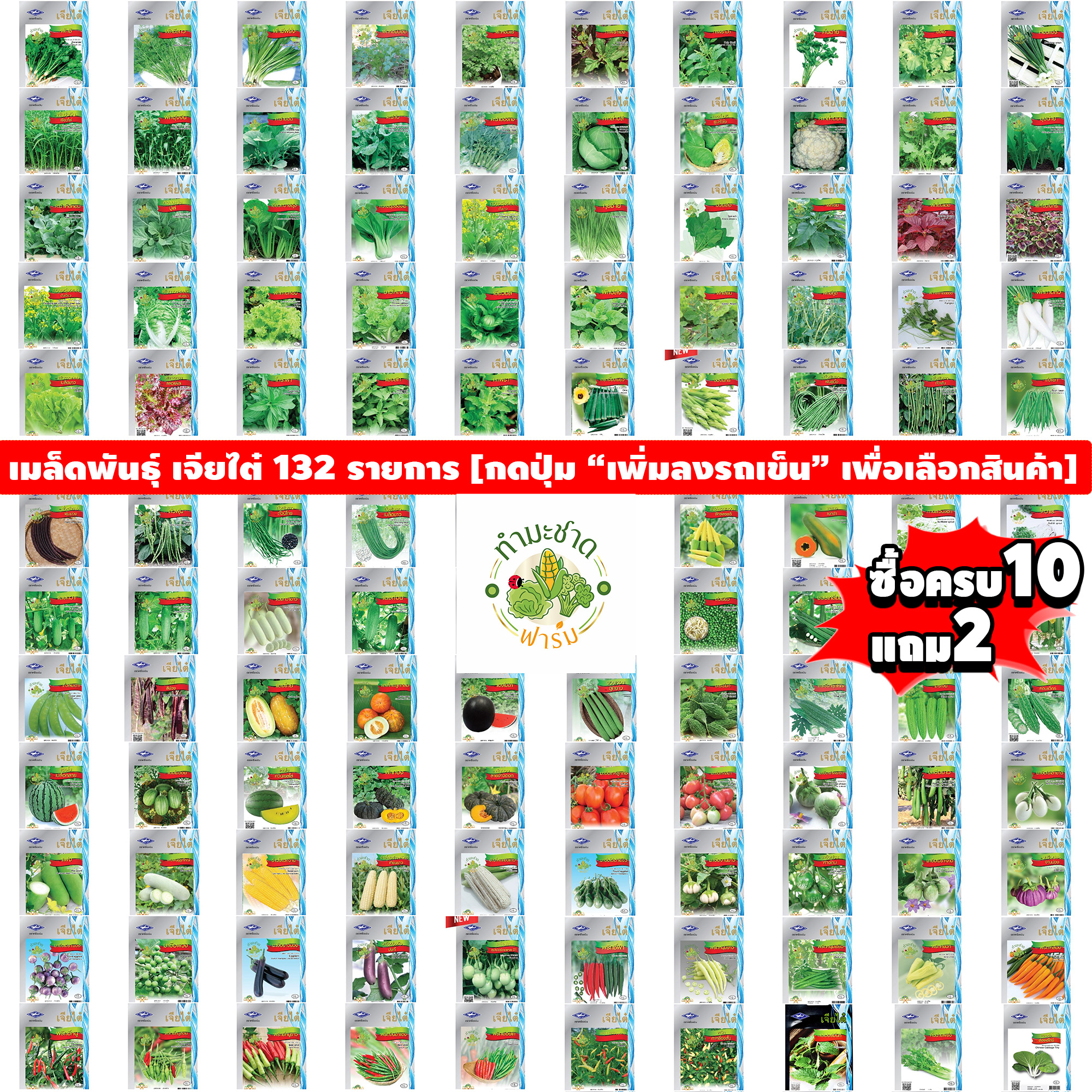 [เจียไต๋ 10แถม1 ] เมล็ดพันธุ์ผักสวนครัว เจียไต๋15฿