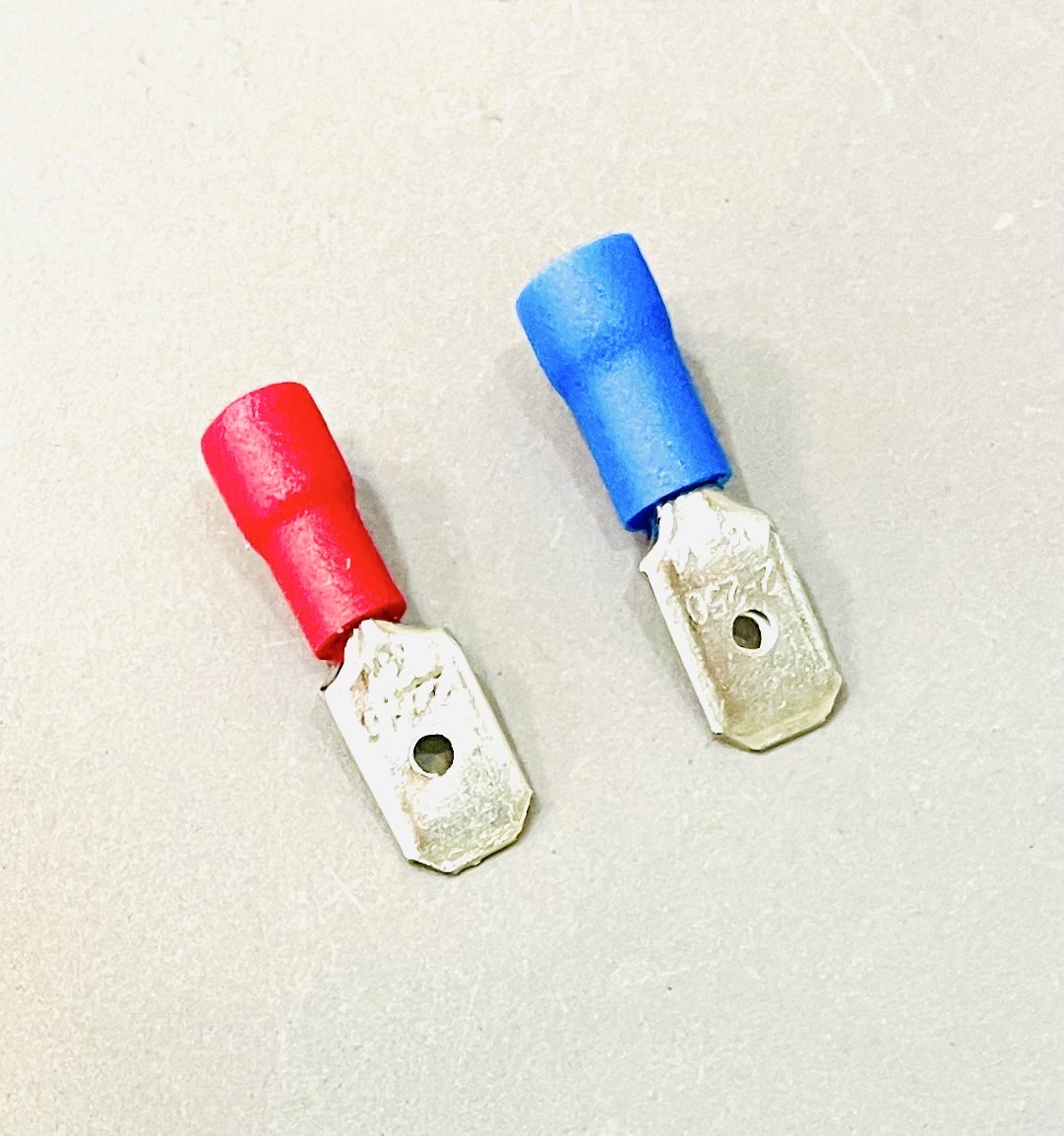 หางปลาเสียบ ตัวผู้