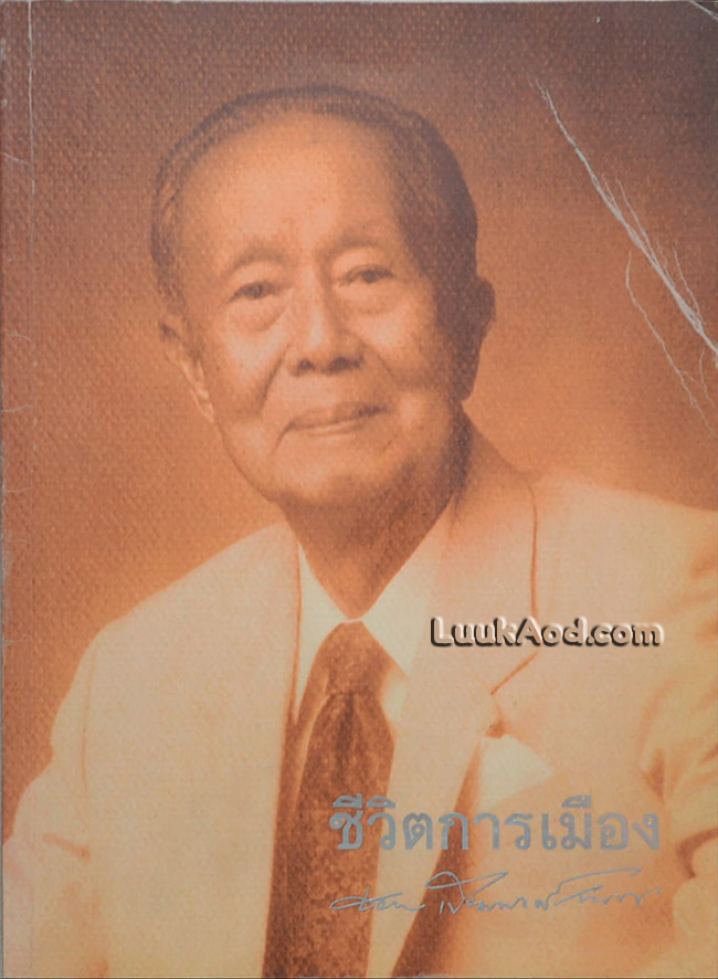 ชีวิตการเมือง