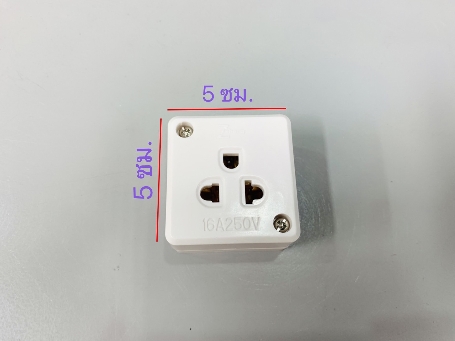 ปลั๊กกราวน์เดี่ยวลอย ZBG02 Zebreg