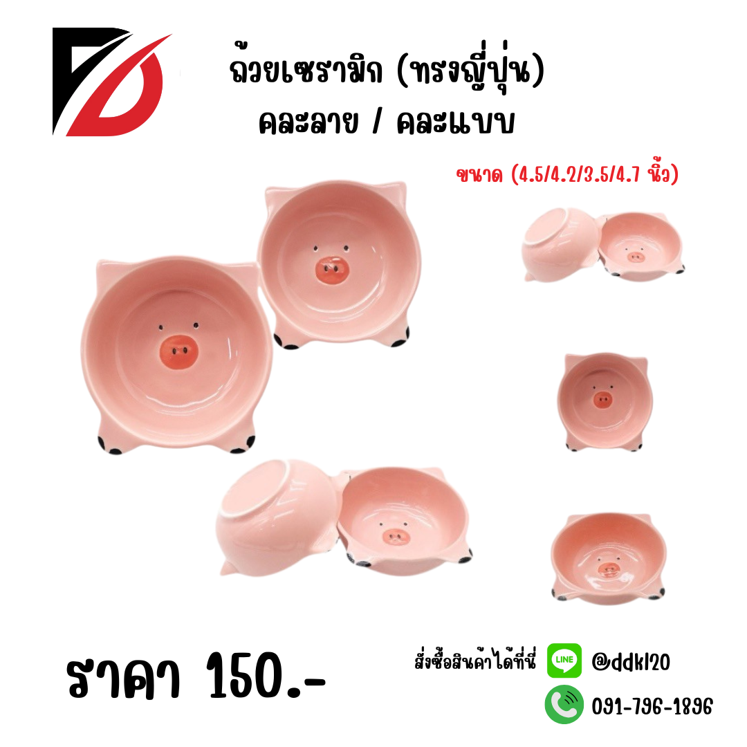 ถ้วยเซรามิก (ทรงญี่ปุ่น) คละลาย / คละแบบ ขนาด (4.5/4.2/3.5/4.7 นิ้ว) หมู