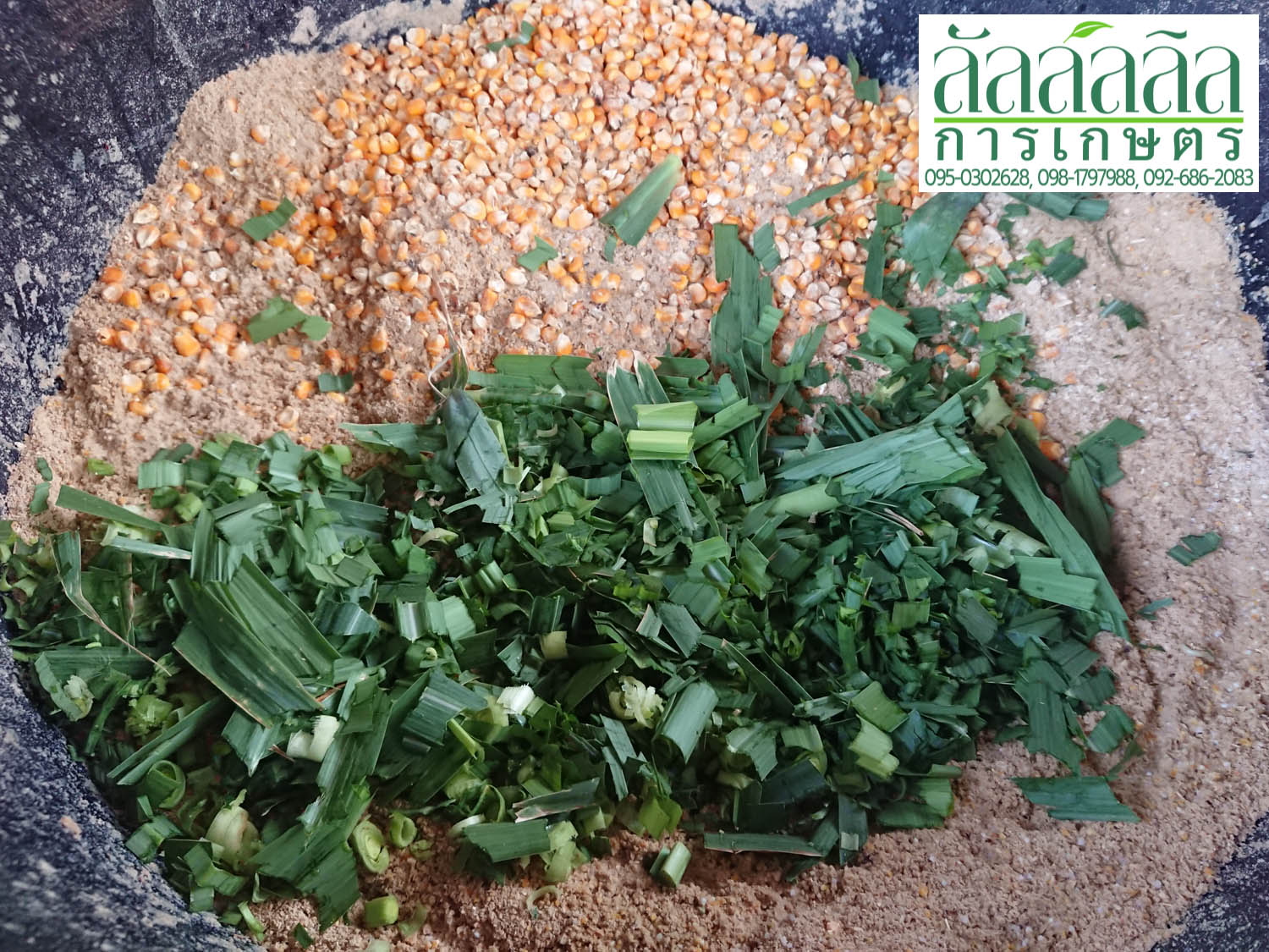 เครื่องอัดเม็ด รุ่น V.3