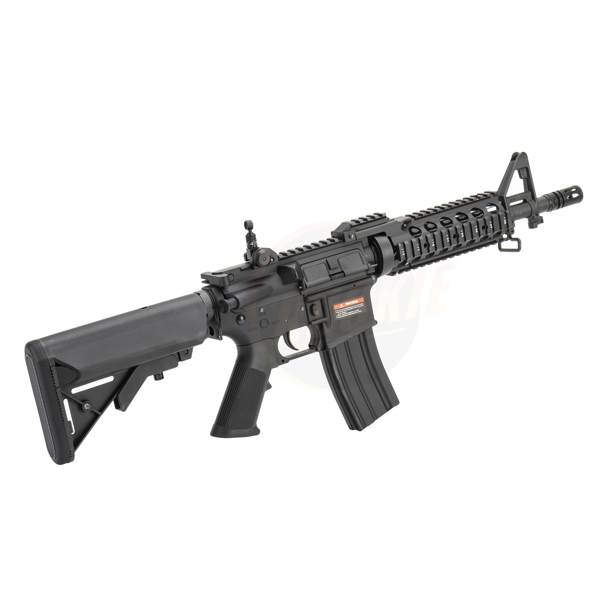 E&C 305 S2 M4 RIS II AEG