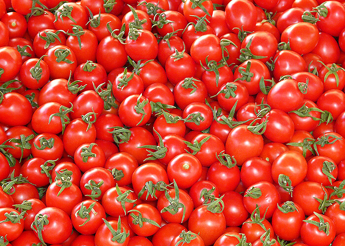 มะเขือเทศสด(TOMATO)