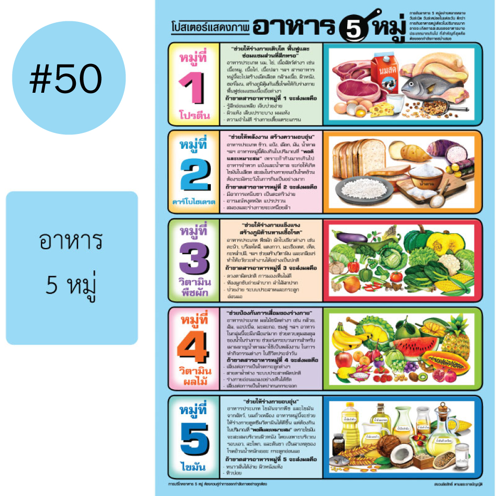 โปสเตอร์เพื่อการศึกษา ขายส่ง nongnini1988