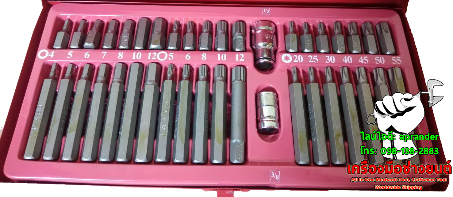 ชุดเซ็ท ดอกบิด ดอกยุโรป 40 ชิ้น