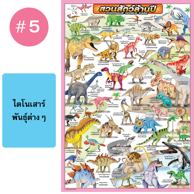 โปสเตอร์เพื่อการศึกษา ขายส่ง nongnini1988