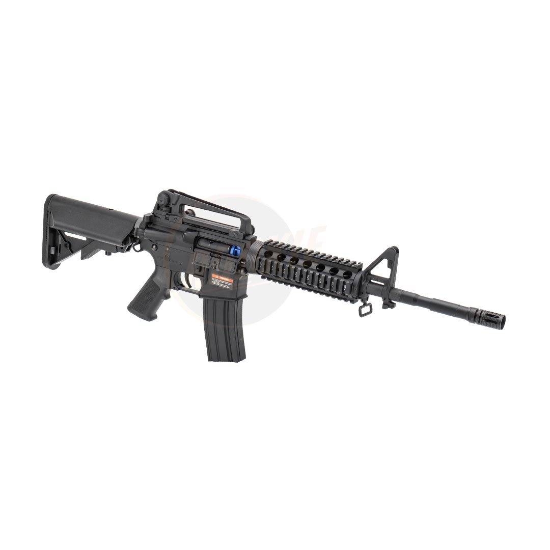 E&C 308 S2 M4 RIS AEG