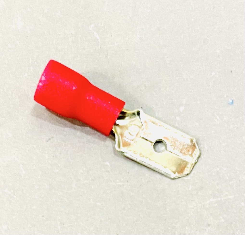 หางปลาเสียบ ตัวผู้