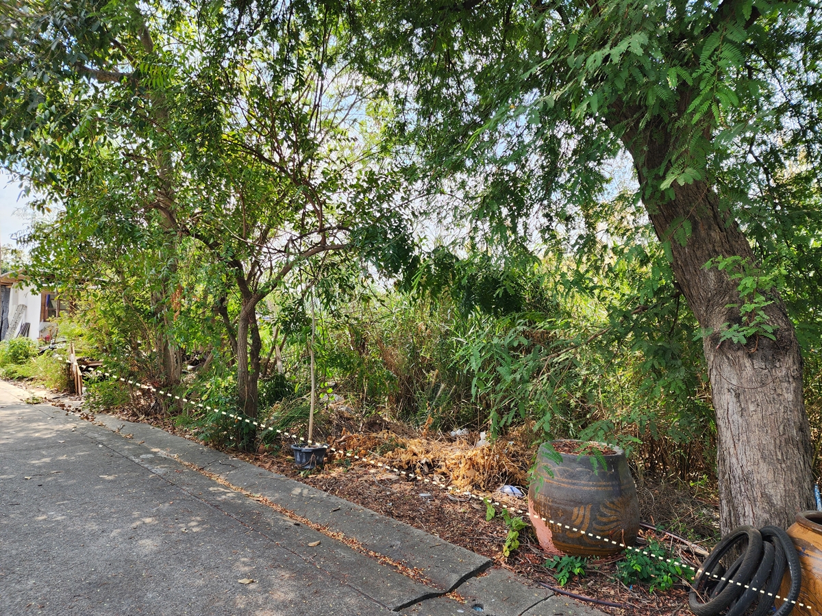 ขาย ที่ดินเปล่า 212 ตร.ว. ซอยธรรมสุธีร์ 19 อ.เมืองปทุมธานี จ.ปทุมธานี