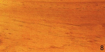 แชลค แกลลอน