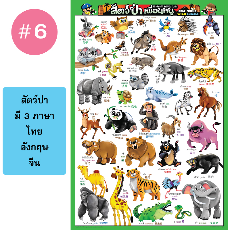 โปสเตอร์เพื่อการศึกษา ขายส่ง nongnini1988