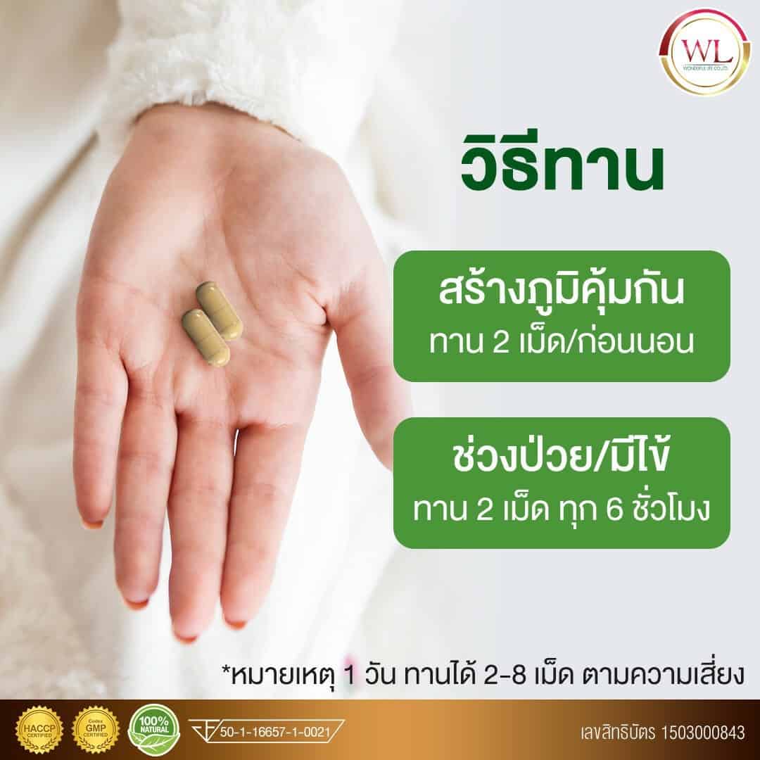 Ex พลูคาวพลัส
