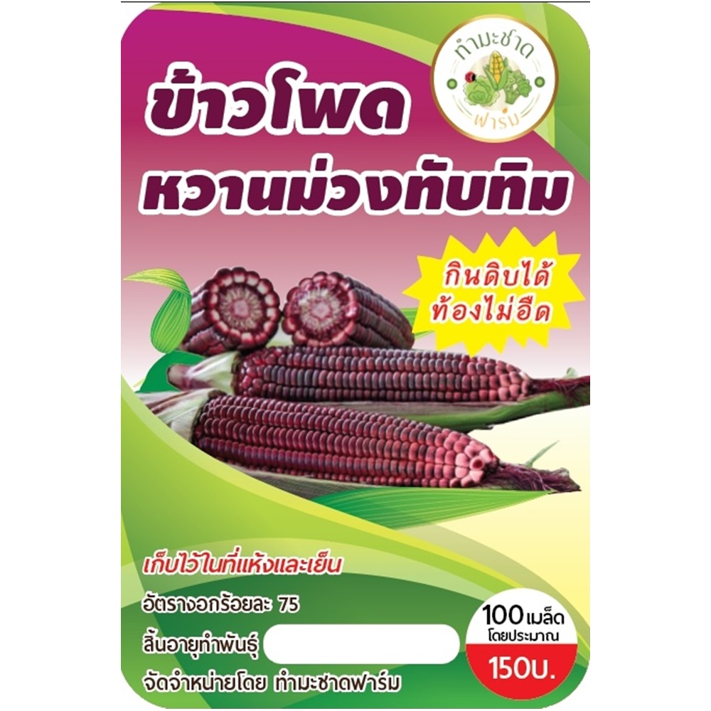 [สินค้ามาแรง + ถูกที่สุด!!!] 🌽เมล็ดพันธุ์ข้าวโพดหวานม่วงทับทิม ข้าวโพดทานดิบได้ อร่อยด้วย!!! ไม่ใช่ ราชินี ทับทิมสยาม