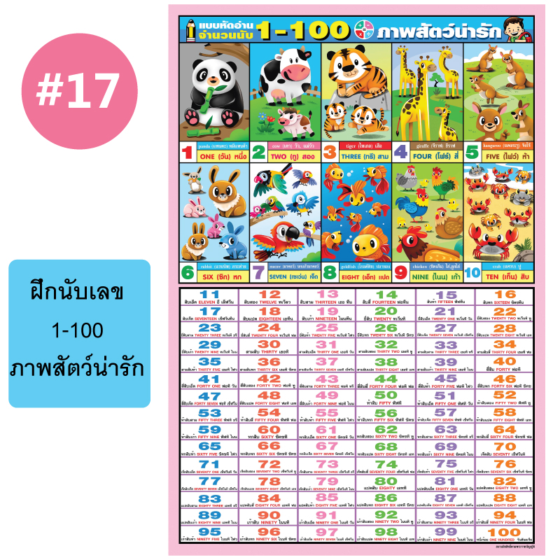 โปสเตอร์เพื่อการศึกษา ขายส่ง nongnini1988