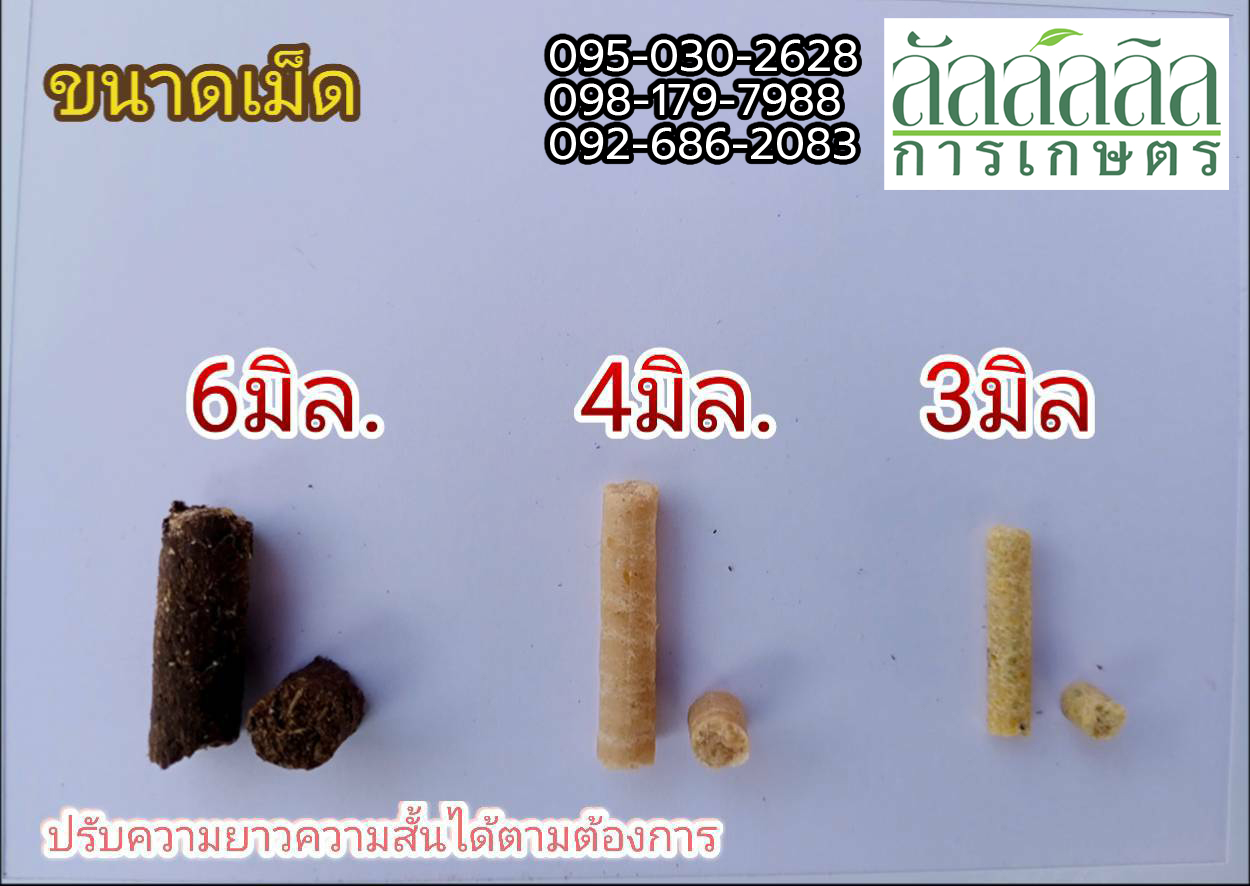 เครื่องอัดเม็ด รุ่น V.1 ไม่มีมอเตอร์ (เครื่องเปล่า)