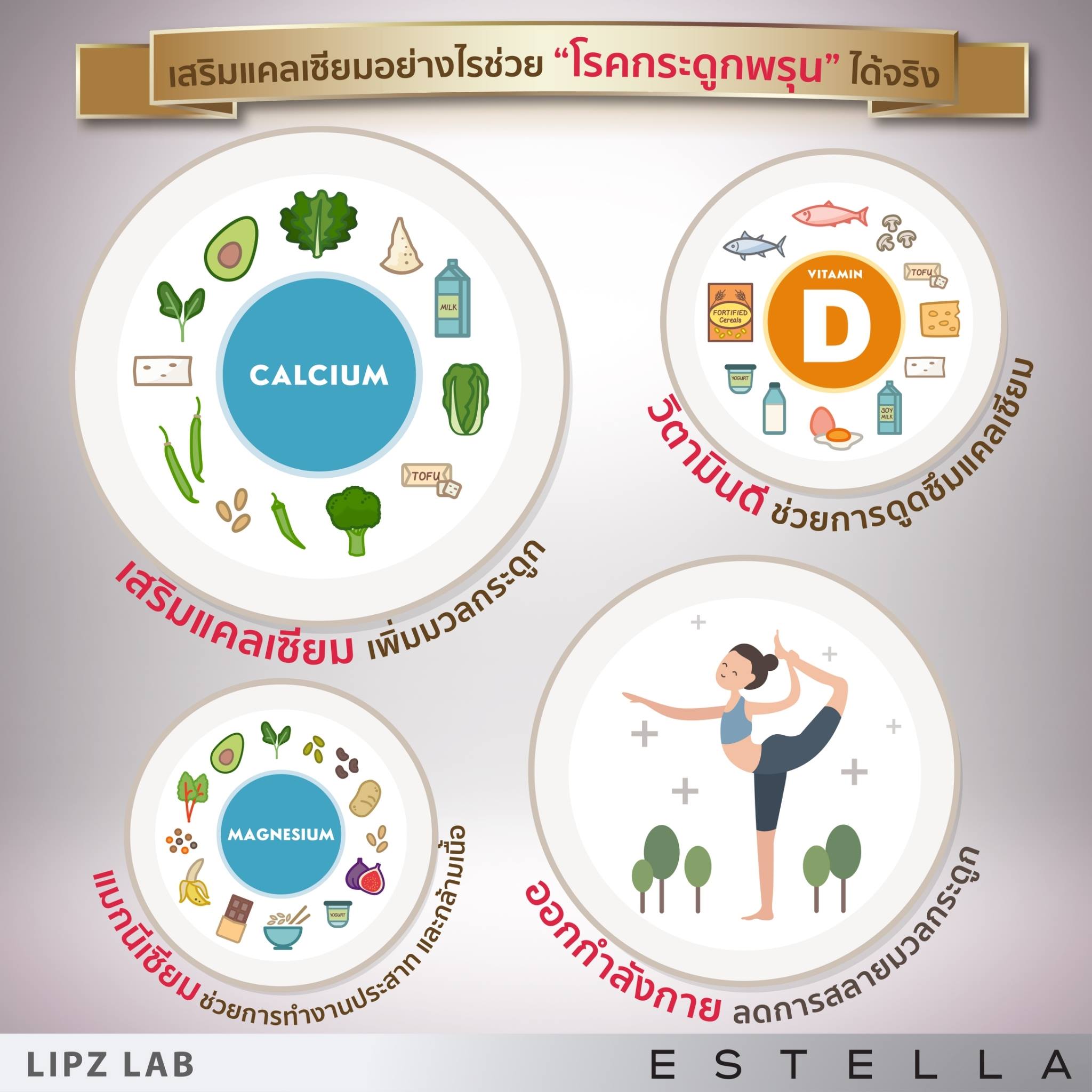 EstellaStoreเสริมแคลเซียมอย่างไร ได้ผลในคนกระดูกพรุน