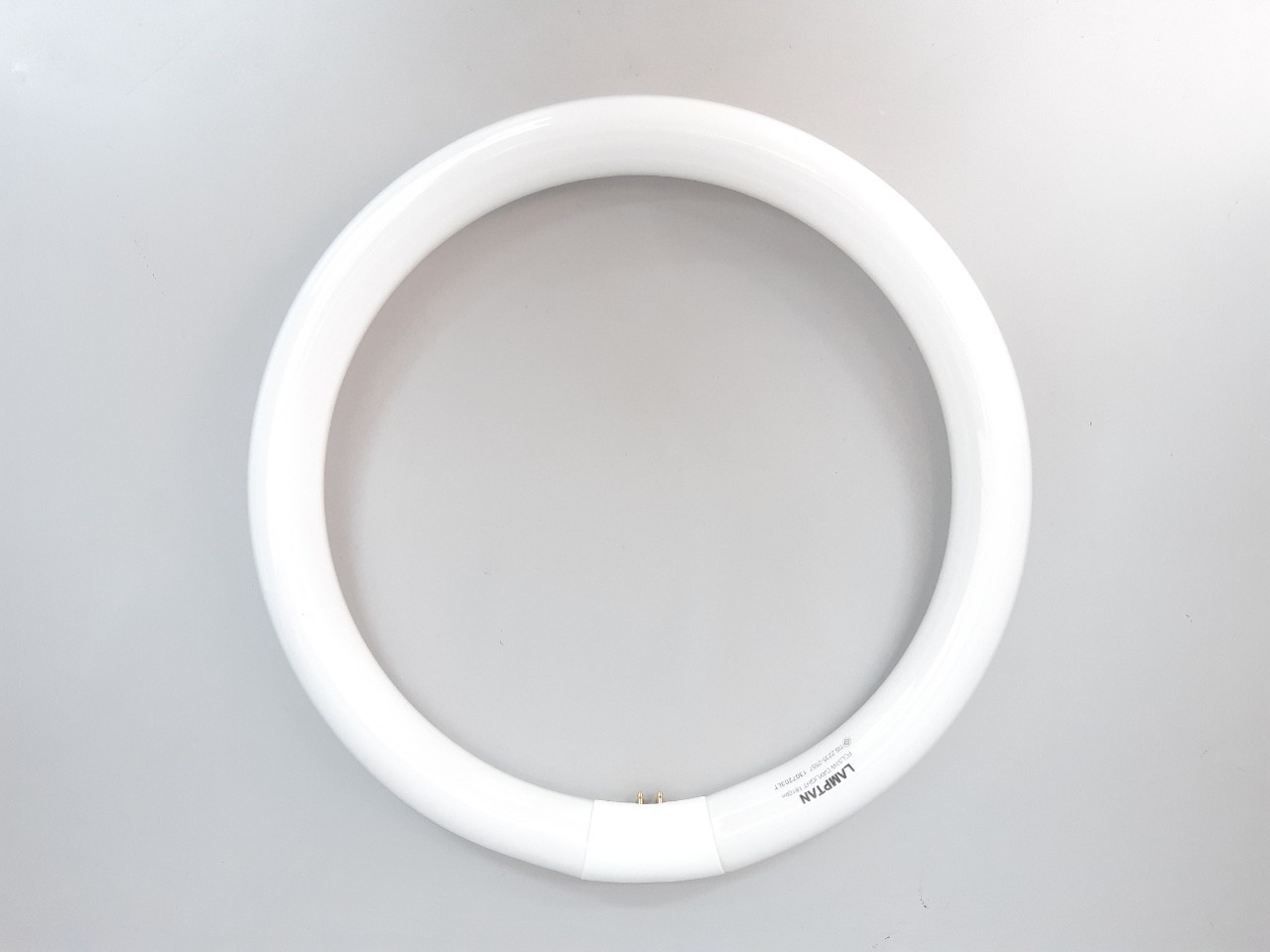 หลอดนีออน 32 w แลมป์ตัน (นีออนกลม)