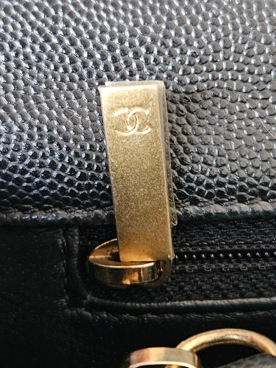 Chanel Coco 10.5 Caviar Lizard holo26