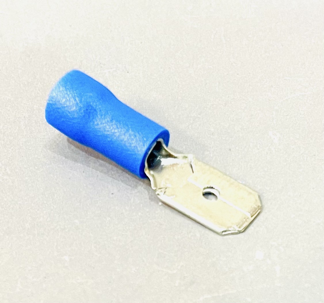 หางปลาเสียบ ตัวผู้