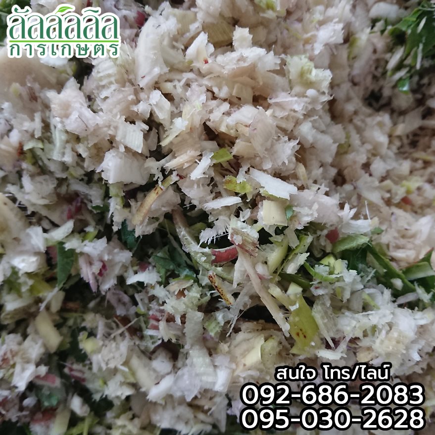 เครื่องสับต้นกล้วย หยวกกล้วย