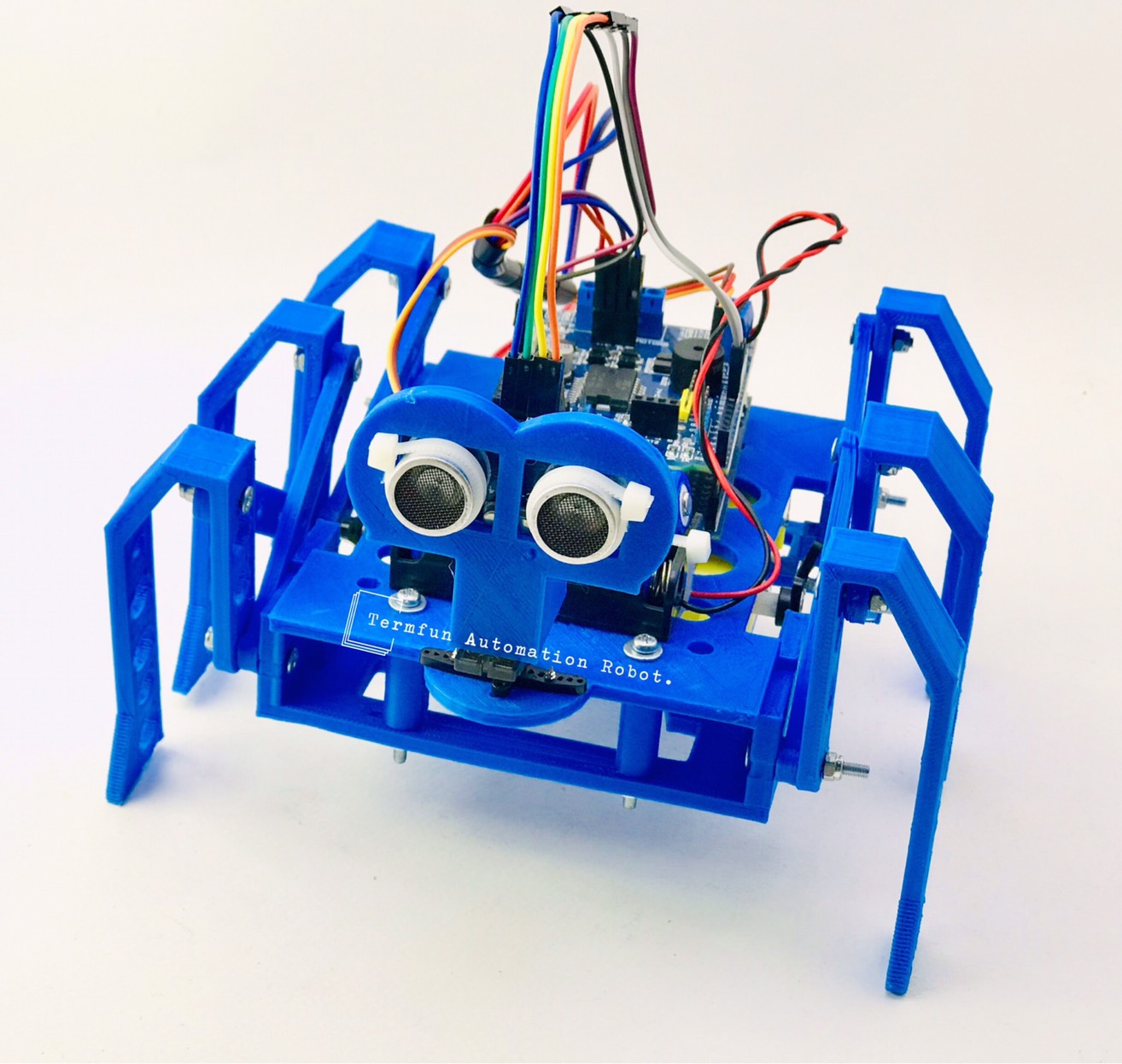 บั๊กโรบอท2024 (หุ่นยนต์สั่งงานด้วยเสียง) Ex