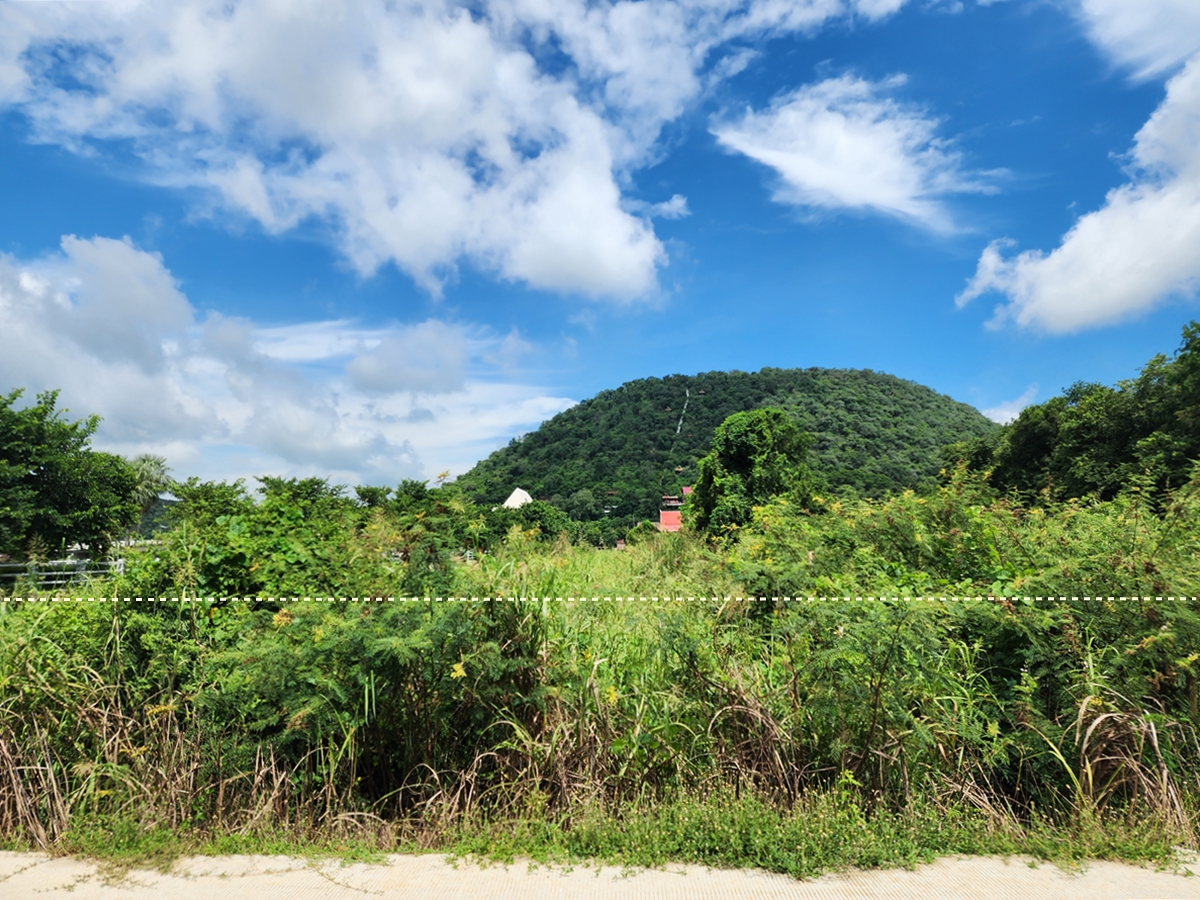 ขาย ที่ดิน 3-1-30 ไร่ ติดแม่น้ำเจ้าพระยา วิวภูเขา อ.เมืองชัยนาท จ.ชัยนาท