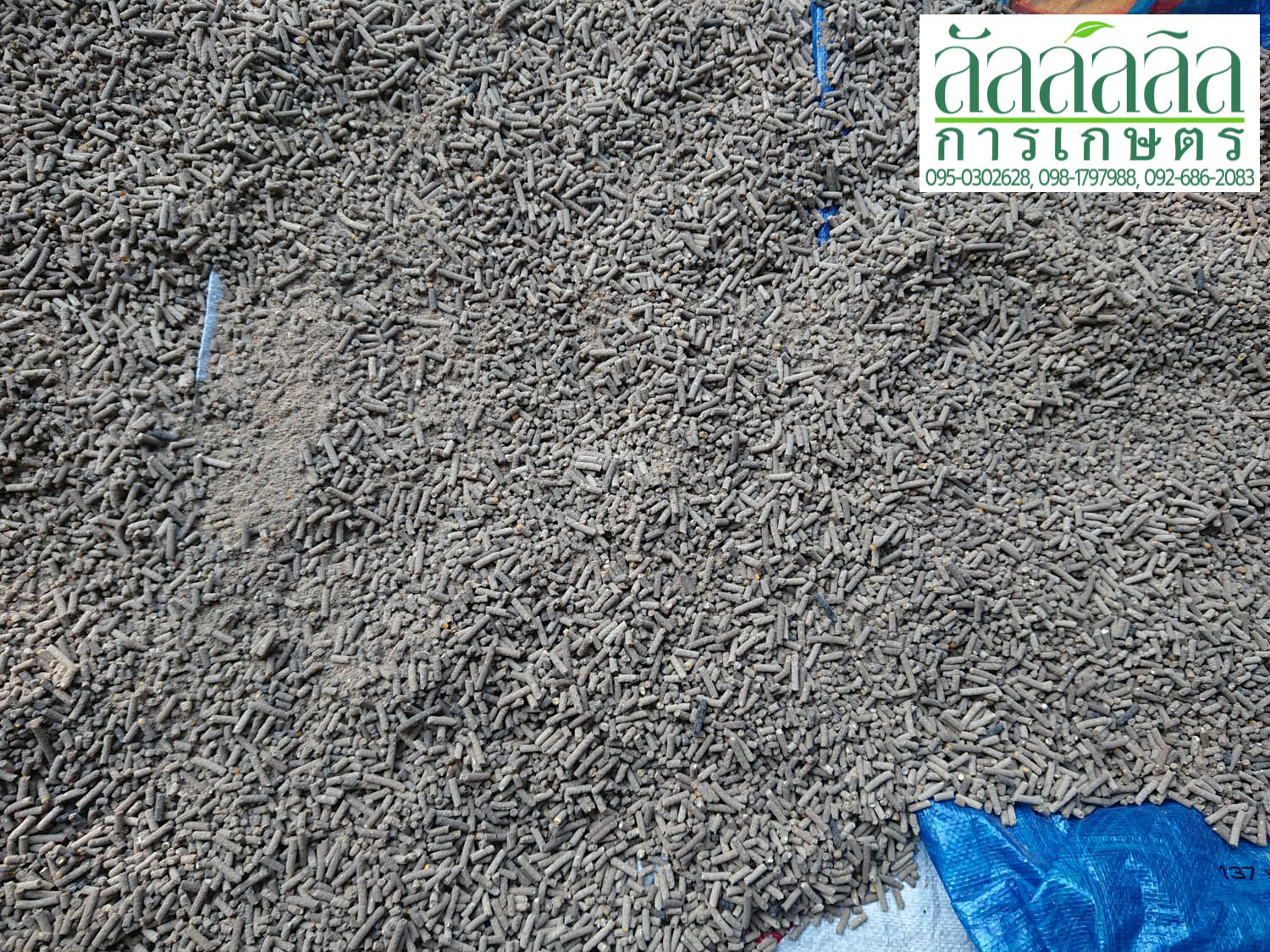 เครื่องอัดเม็ด รุ่น V.3