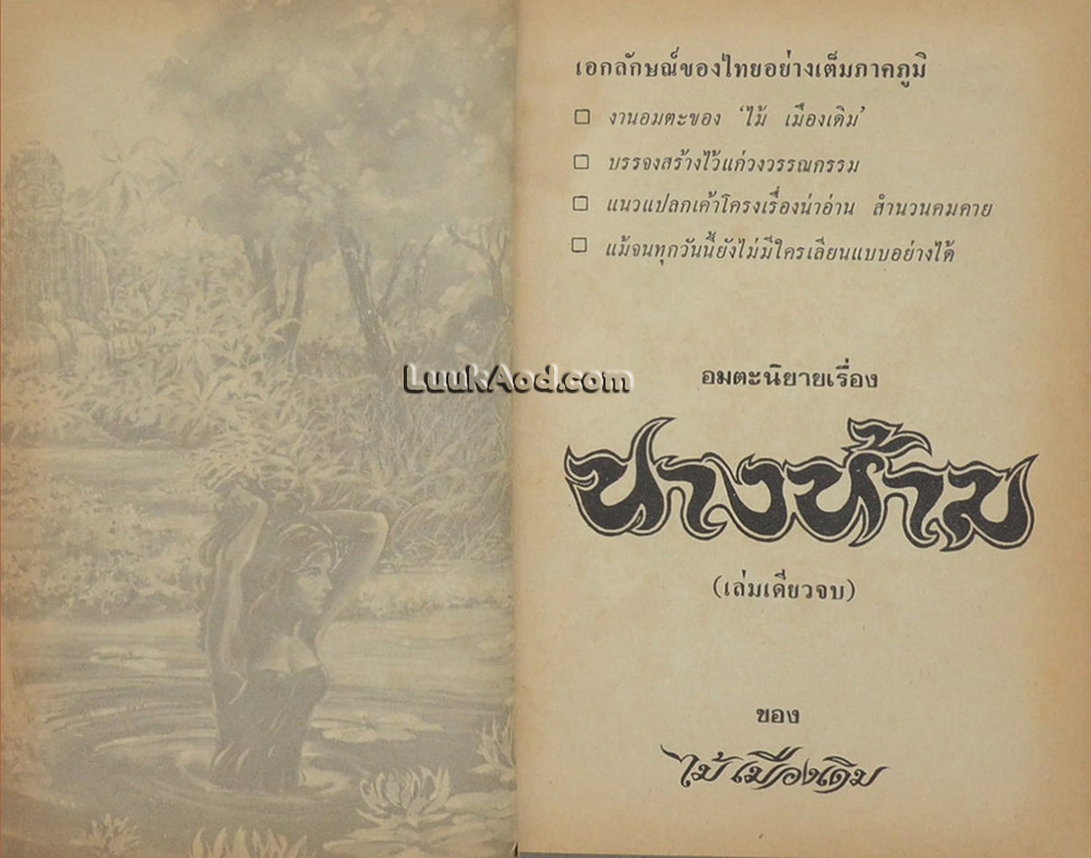 นางห้าม (เล่มเดียวจบ) / ไม้เมืองเดิม