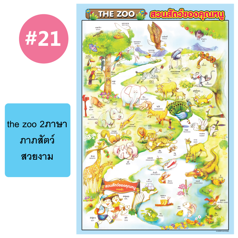 โปสเตอร์เพื่อการศึกษา ขายส่ง nongnini1988