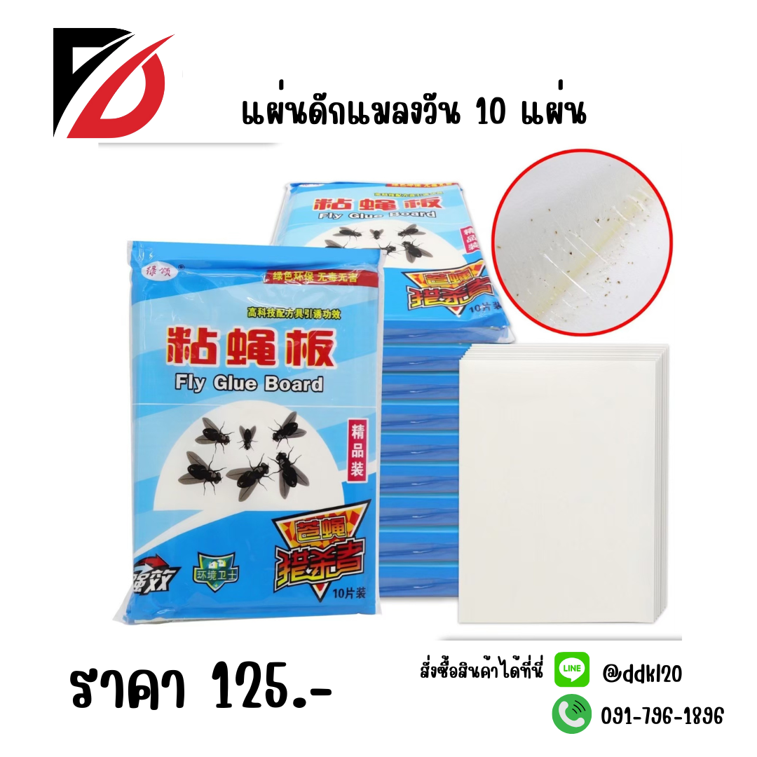 แผ่นดักแมลงวัน 10 แผ่น