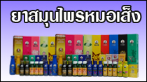 https://morsengworld.lnwshop.com/category
