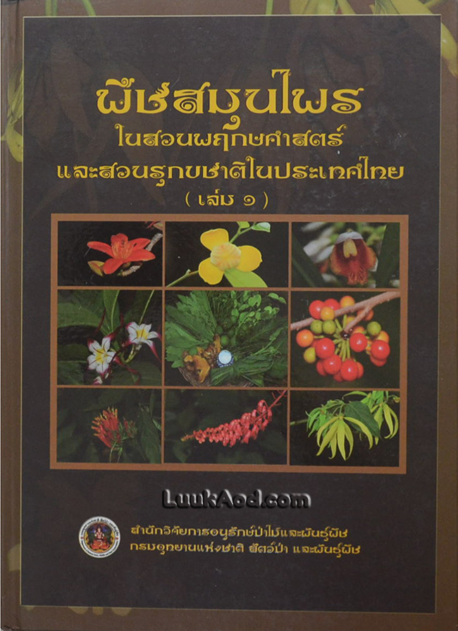 *พืชสมุนไพร ในสวนพฤกษศาสตร์และสวนรุกขชาติในประเทศไทย (เล่ม 1)*