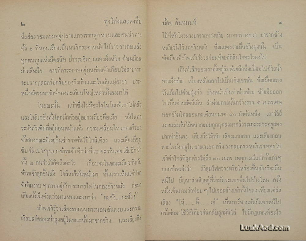 ทุ่งโล่งและดงทึบ / น้อย อินทนนท์