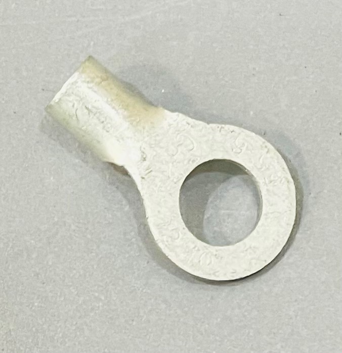 หางปลากลมเปลือย