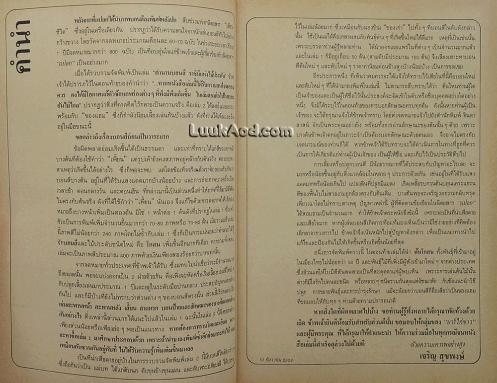 ตำนานบอนสี และโกสน ราชินีแห่งไม้ประดับ