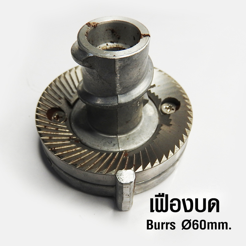 Electric coffee grinder, grind coffee in 5 levels