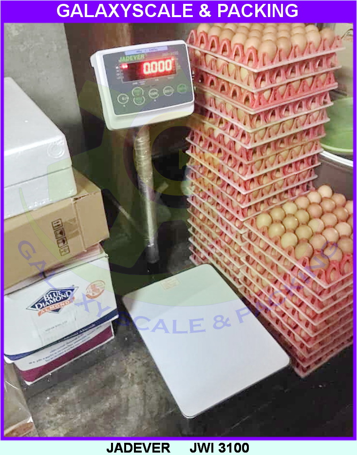 JADEVER เครื่องชั่งตั้งพื้น JWI 3100
