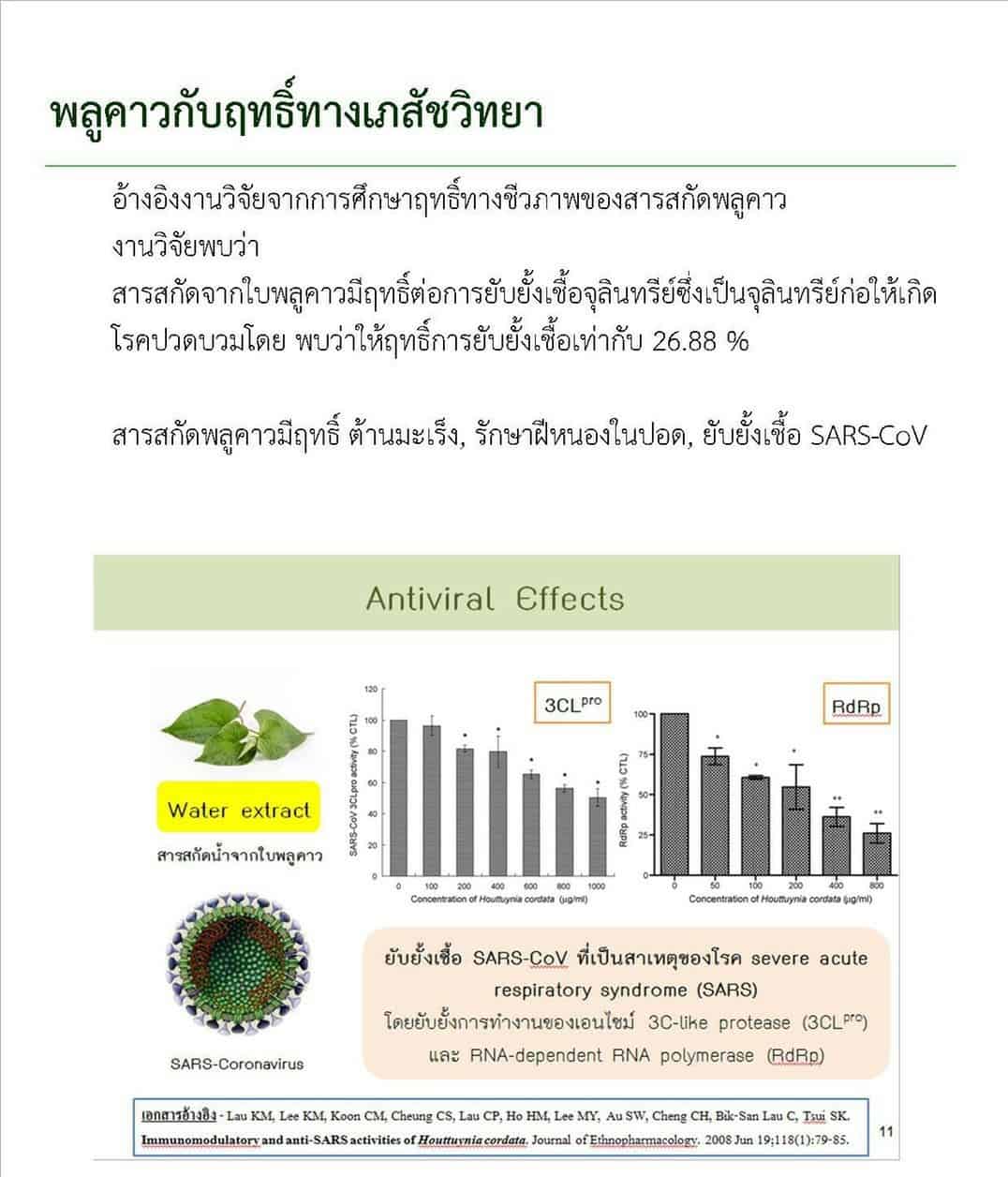  ex พลูคาว ดีไหม