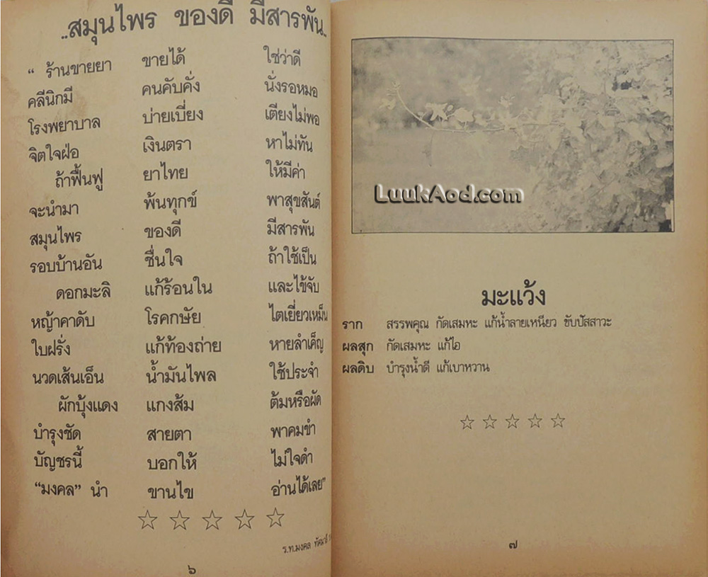 สารพัดยาไทย สมุนไพรที่ช่วยให้อายุยืน
